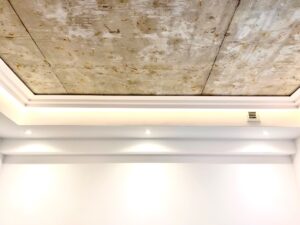 Sztukateria Orac Decor Purotouch C391