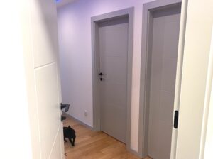 Drzwi DRE Fargo 10 popielaty